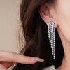Silver Needle European and American Zircon Water Drop Tassel Earrings Earrings Personality Temperament Earrings Women