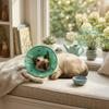Anti Licking Dog Recovery Collar Comfortable Cat Protective Collar Pet Elizabethan Collar  Grooming