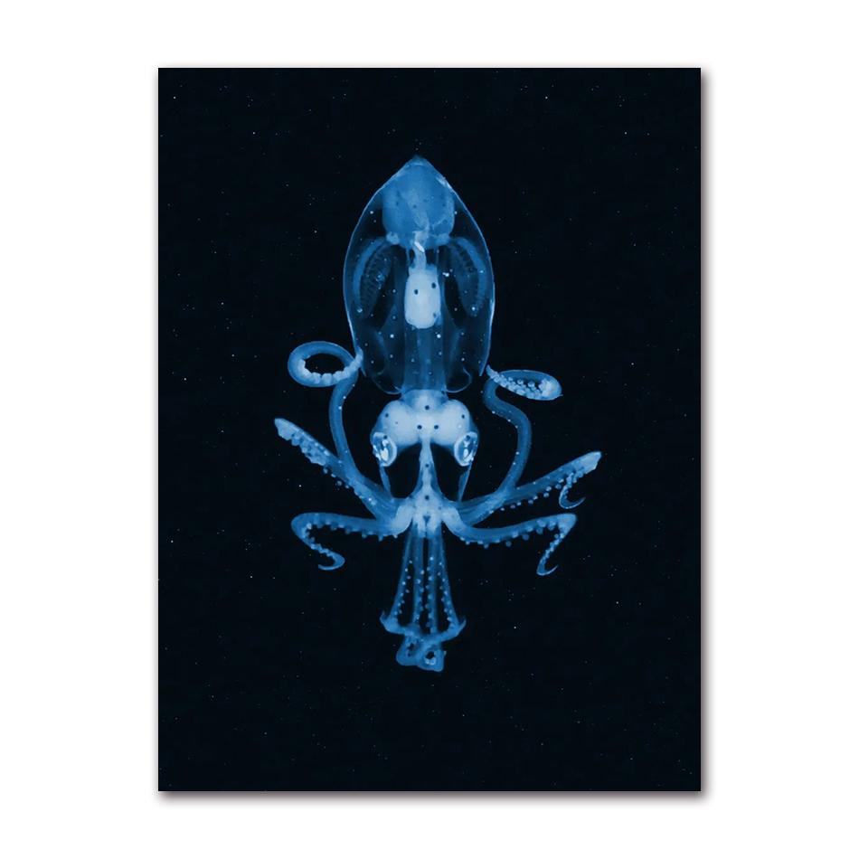 Retro Sea Animal Cyanea Jellyfish Squid Shark Minimalist Art Poster Canvas Painting Wall Prints Picture Living Room Home Decor