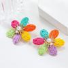 Spring Floral Raffia Earrings – European & American Style for Ladies' Parties