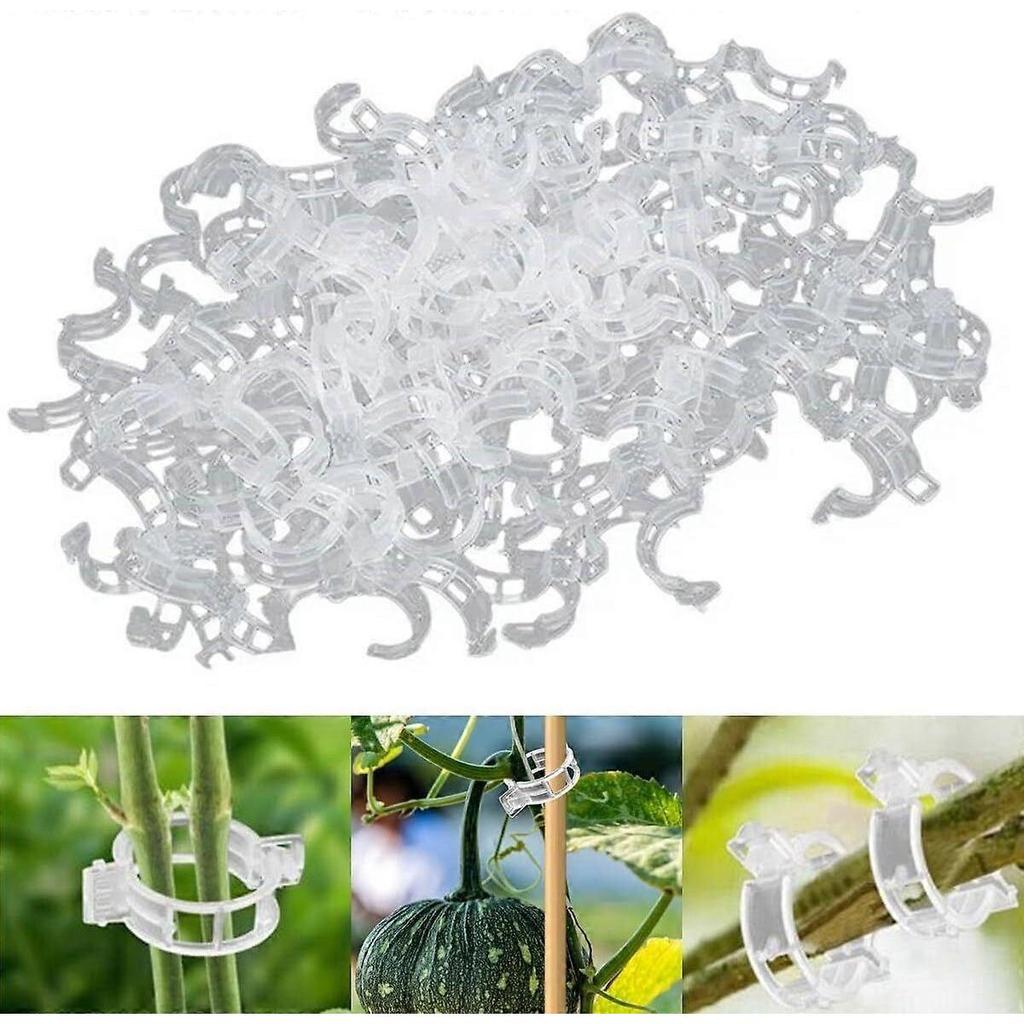 Garden Climbing Plant Clips, Cucumber Grapevine Plant Clips (100-150-200 pcs)-