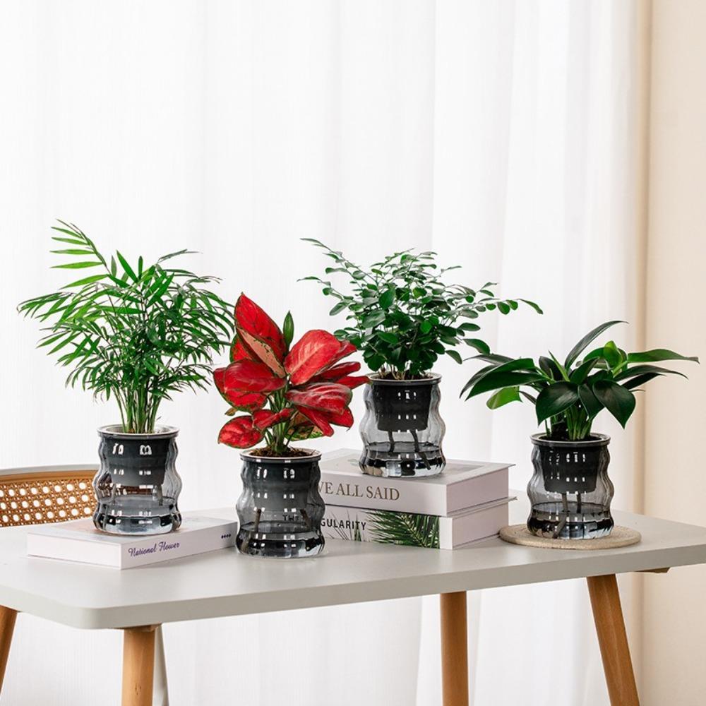 Self Watering Hydroponic Plants Pot Plastic Mini Succulent Planter Tabletop Vase New Flowerpot