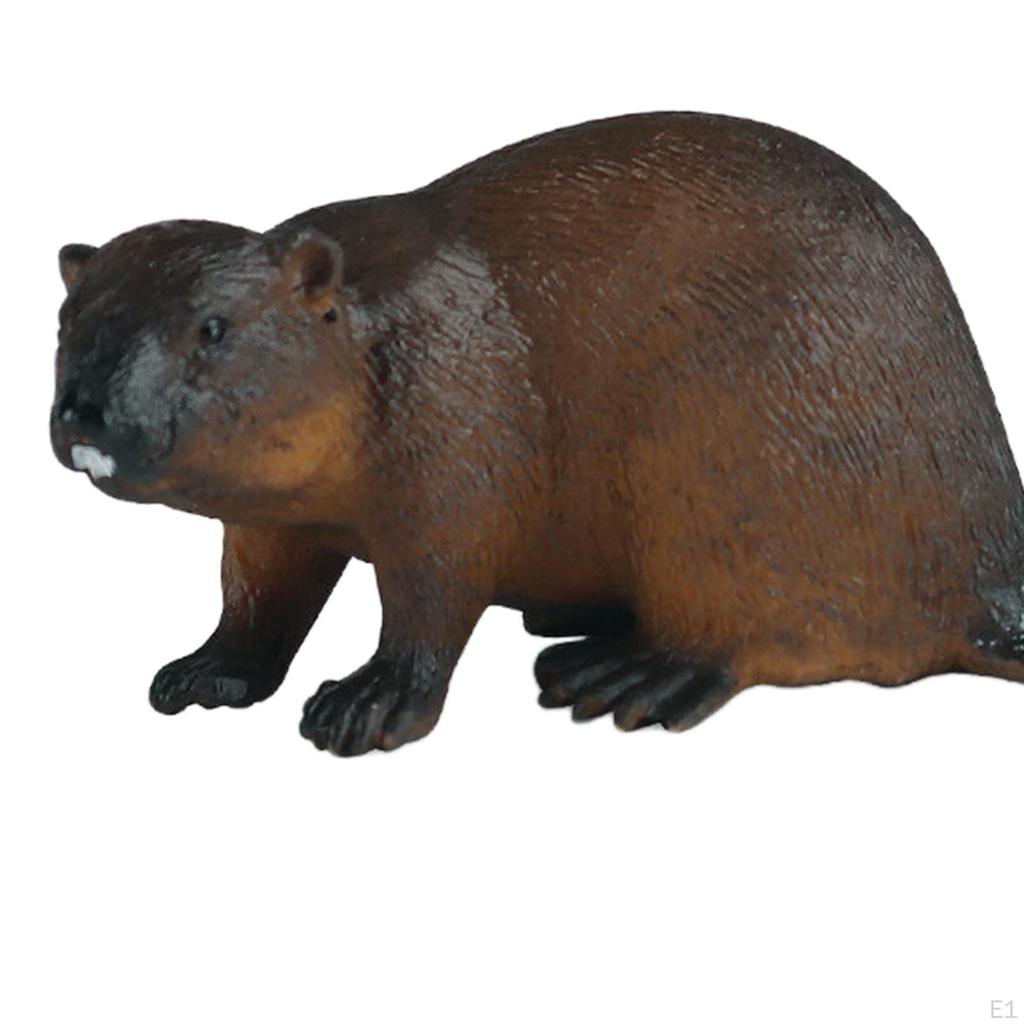 Animal Figure, Ornament, Collectible, Birthday Gift, Statue, Simulation, Animal,