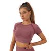 Women's Seamless Short-Sleeve Yoga Suit - Moisture-Wicking, Quick-Dry Fitness T-shirt