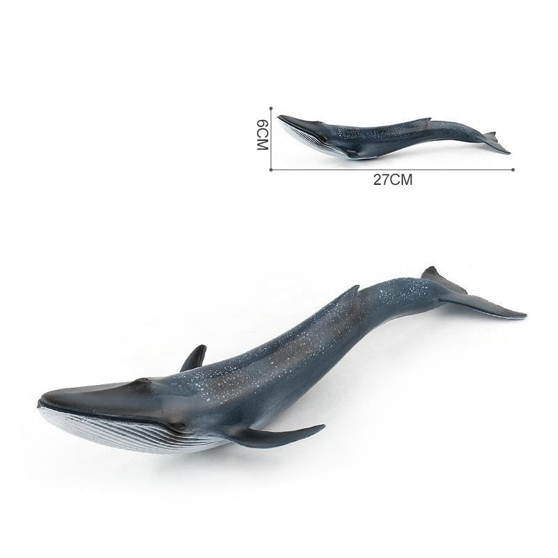 [Nekogamiyama] Blue Whale, Shiranagasu Whale, Marine Life Figurine, Model, Miniature, Ornament, Interior Decor, Collectible Model