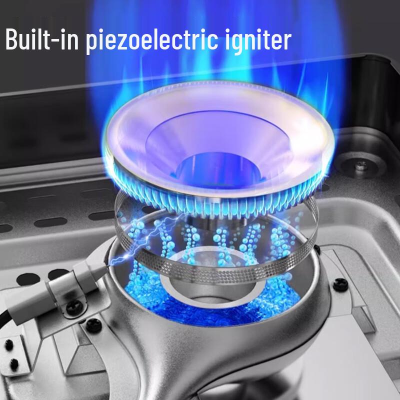 Portable Outdoor Cassette Gas Stove Kit