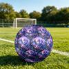 1pc Fantasy Dragon Garden Theme Soccer Ball Football, Size 5, Lightweight PVC, Durable Outdoor Training Soccer Ball, Gift M61453