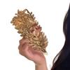 1PC Fashionable, Creative, New Baroque Nride Leaves Headband, Greek Goddess Headband, Wide-brimmed Hair Ornaments, Bohemian