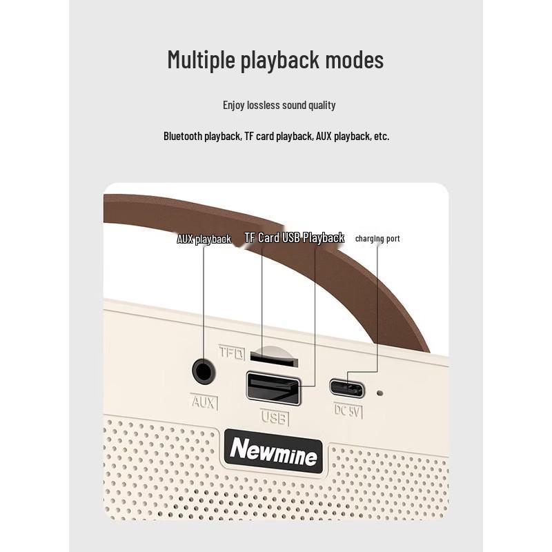 Newmine DP07 Portable Karaoke System with Dual Microphones CN plug (adapter included)