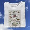 Vintage Birds T-Shirt: Flamingo & Millot Animal Print