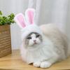 Malý pes kočka s ušima Legrační velikonoční králík oblečení pet doplňky