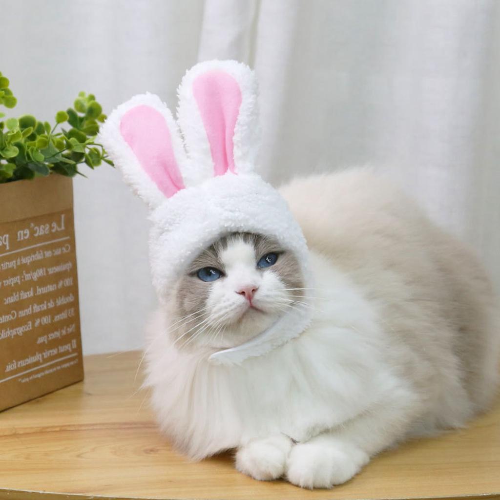 Malý pes kočka s ušima Legrační velikonoční králík oblečení pet doplňky
