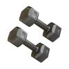 Jeden pár šestihranných činek litinových PVC 22 lb Fitness sada šestihranných činek pro silový trénink