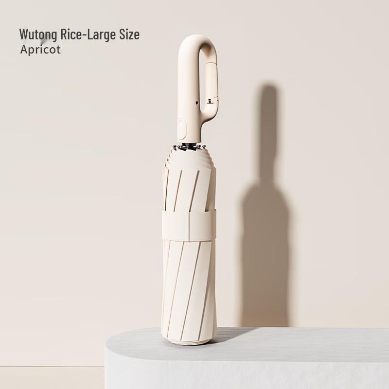 Fully Automatic 10-Rib Business Travel Umbrella