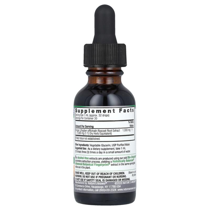 Ginger Root, Fluid Extract, Alcohol-Free, 1,000 mg, 1 fl oz (30 ml)