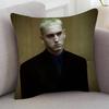 Singer Eminem Cute Cartoon L Game Cushion Cover Pillowcase Upholstery Sofa Throw Pillow Home Decor Pillowcas