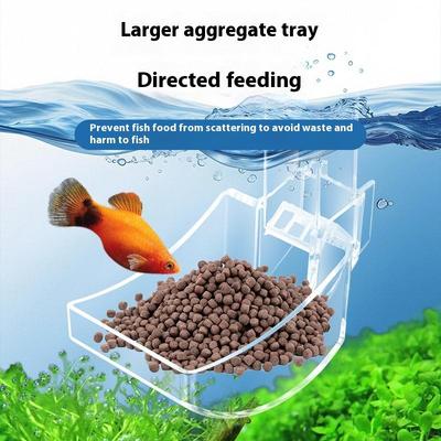 Acrylic Aquarium Feeder Tube Dish Transparent Fish Tank Shrimp Snail Food Feeder Bowl Small Food Dispenser Feeding Accessories