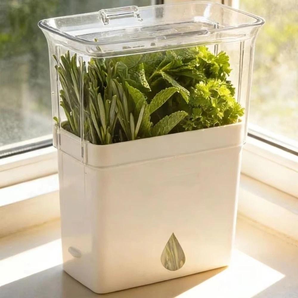 Large Capacity Vegetable Keeper Plastic Herb Lettuce Keeper  Prolongs Produce Life