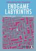 Endgame Labyrinths By Jacob Aagaard And Steffen Nielsen (Twarda Okładka)
