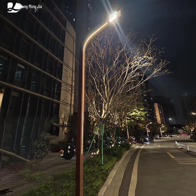 Liangmingjia Outdoor Landscape & Garden Light 2.5m