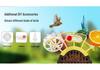 Smart Bird Feeder with Camera & ID: Automatic Feeding System
