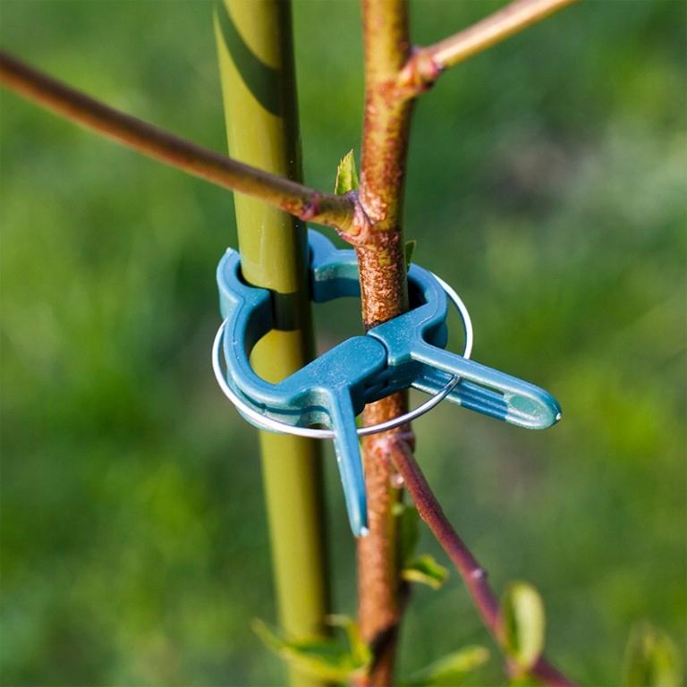 Plant Clips 2 Sizes 20 Pcs