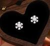 E173 -S925 Sterling Silver Snowflake Series Earrings for Women Fashionable Light Luxury Design Christmas Jewelry Gift