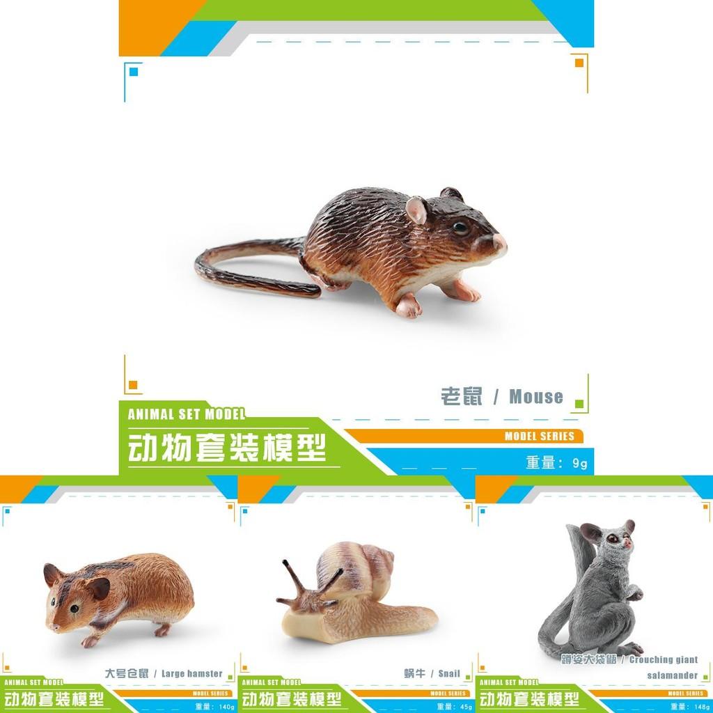 Realistic Forest Animal Models Set Including Hamster Snail Sugar Glider Mouse Meerkat Anteater For Kids Educational Playtime Fun