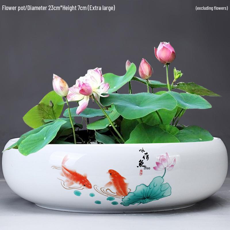 Großer Keramik-Lotus Seerose Hydroponischer Blumentopf ohne Abfluss