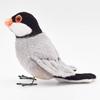 BH7248 HANSA Java Sparrow 13