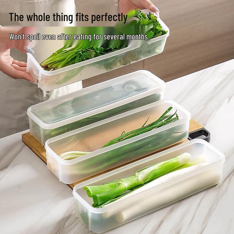 Cilantro & Scallion Fresh-Keeping Storage Box for Herbs, Noodles, Eggs & Meal Prep