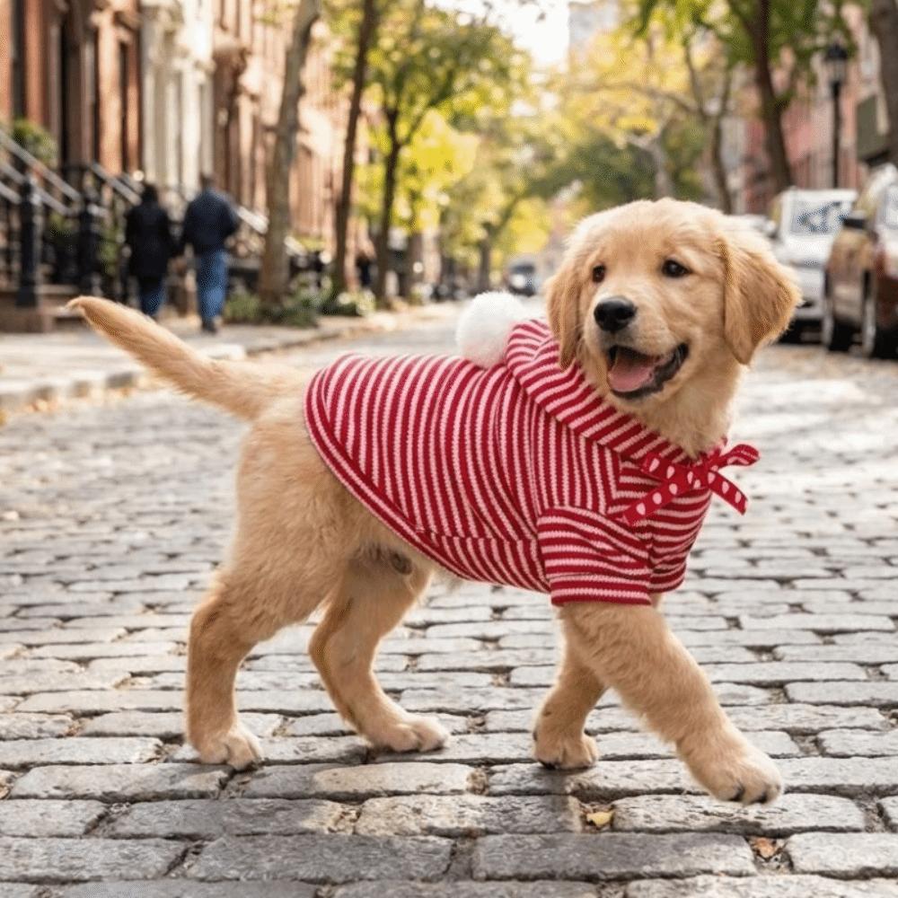 Warm Dog Striped Hooded Hoodie Heart Pattern Comfortable Puppy Hooded Jacket Breathable with Hat Cat Sweater Spring Autumn