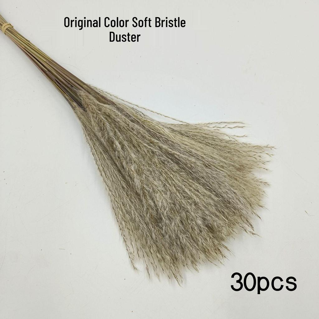 Whisk Rabbit Tail Grass Dried Flower Bouquet - Natural Pampas Grass & Small Reed