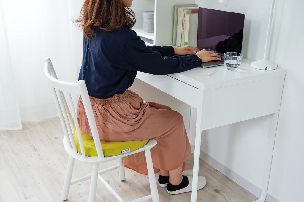 EXGEL Kaji Cushion Maru Punifit Lemon Gel Cushion Made in Japan Chair Dining Sofa Cushion Zabuton Work from Home / PUN22-LE