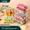 Baijie Disposable Fruit & Snack Containers