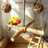 Bird Perch Wooden Parakeet Rotating Toy Macaw Perch For Boredom Relief Behavior Beak Grinding Claw Health Care Chewing