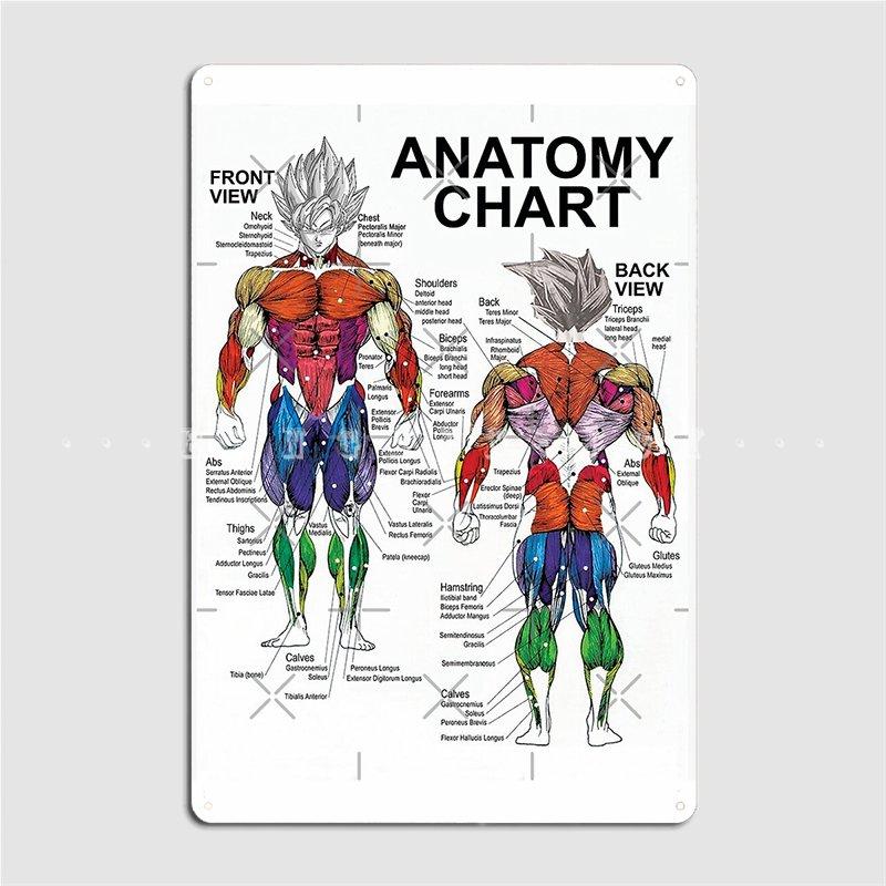 

Anatomy Muscle Chart Diagram Metal Sign Plates Club Party Pub Garage Vintage Tin Sign Poster 20x30cm（7.8x11.8inch）