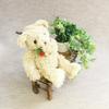 Wild Strawberry Bear S Beige
