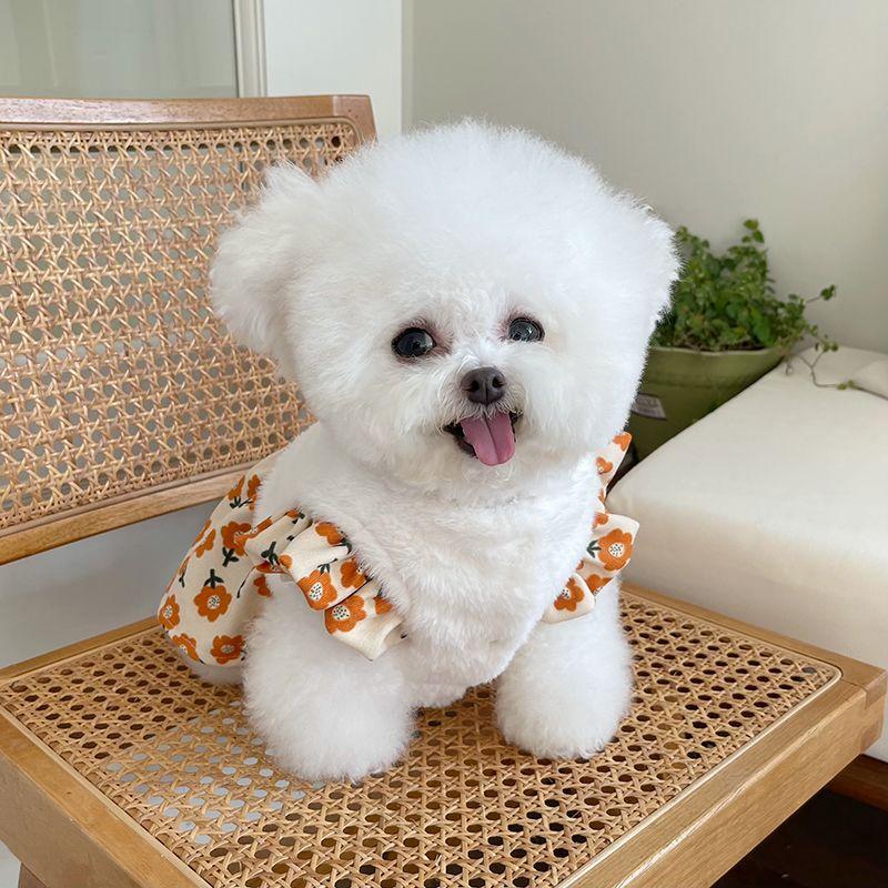 Pet Flower Dress Dog Clothes Autumn Winter Plush Fly Sleeve Cardigan Skirt Teddy Bear Dog Cat Plush Coat Puppy Small Dog Dress