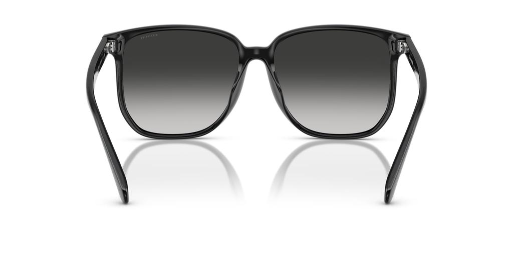 Sunglasses 0HC8413BD BLACK 58 [Coach]