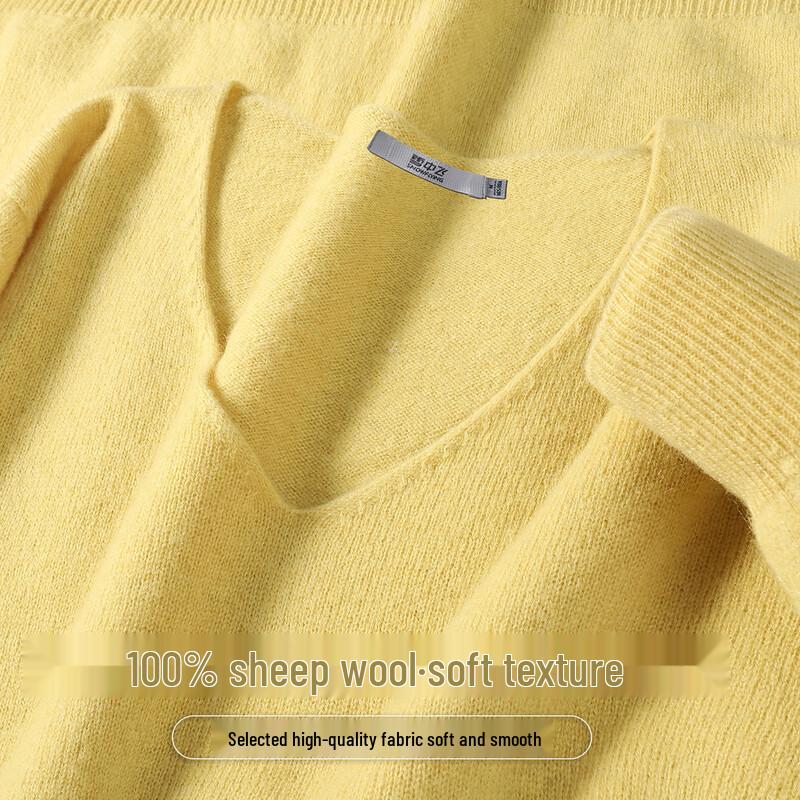 SNOWFLYING Women's 100% Merino Wool V-Neck Basic Knit Sweater