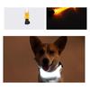 Hundehalsband, leuchtender Gürtel, LED-Licht, Nachtsicherheit, Anti-Verlust/Vermeidung von Autounfällen, leuchtendes Halsband für Hunde
