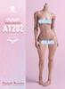 [TOYBARJAPAN] 1/6 Scale Action Figure Worldbox AT202 Tanned, Chubby Asian Female Body