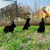 Rabbit/Squirrel Figurines Hollow Dust Proof Wrought Iron Realistic Rabbits Art Sculpture for Garden Party Decor Metal Home Yard