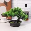 Everlasting Green Pine Bonsai: High Simulation Indoor Desktop Ornament