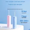 Panasonic DJ33 Portable Water Flosser
