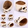 Premium Resin Human Skull Head Design Flower Pot Planter For Unique Home Decor