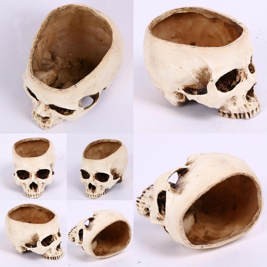 Premium Resin Human Skull Head Design Flower Pot Planter For Unique Home Decor