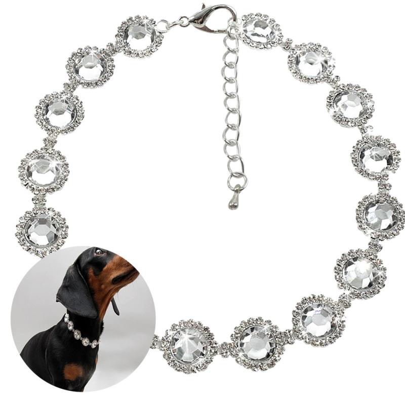 dog diamond chain