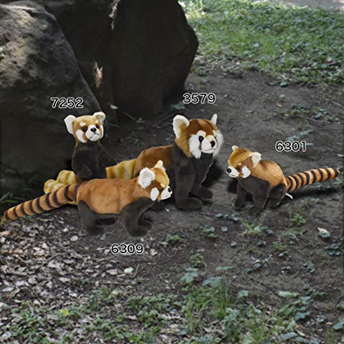 BH7252 HANSA Red Panda 37